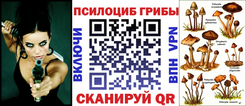 Псилоцибиновые грибы Psilocybine cubensis Шацк